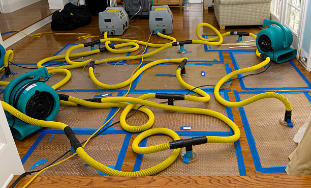 Professional Crawl Space Water Removal technician working in South Bristol, ME